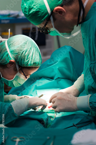 Photo: Surgery details3 Surgery details3