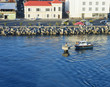Pilot Boat Tying up in Barbados