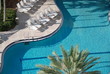 piscine haricot