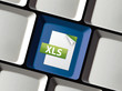 XLS Dokument online aufrufen