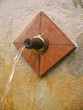 Fuente