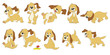 Hund, Welpe, Hundewelpe, Set