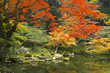 Stitched Panorama