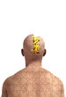 Missing Piece Of Mind With Brain