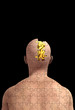 Missing Piece Of Mind With Brain