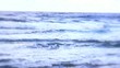 mare