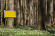 Gelbes Schild am Baum