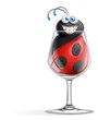 coccinella nel bicchiere