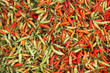 piments forts,indonésie