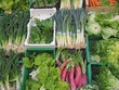 Vegetable market Vegetable market