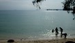 Video: Kid enjoy with new friends on the beach, Thailand. Kid enjoy with new friends on the beach, Thailand.