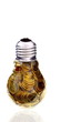 Traditional glass bulb and energy savings