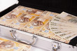 suitcase with money