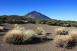 Tenerife - Volcan El Teide