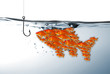 Fischschwarm am Angelhaken