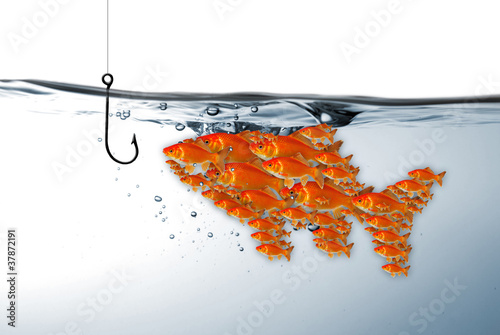 Photo: Fischschwarm am Angelhaken Fischschwarm am Angelhaken