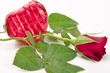 rose und Schokoladenherz am Valentinstag