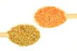 Red and green Lentils piles in wooden spoons. Red and green Lentils piles in wooden spoons.