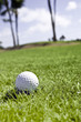 Golf ball in the rough Golf ball in the rough