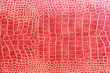 crocodile skin texture