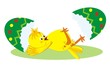 chick