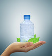 bottle water mineral and leaf in hand