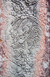 Ancient Khmer parrot carving