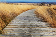 Countryside road through the moor, . autumn