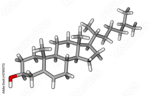 Illustration: Cholesterol sticks molecular model Cholesterol sticks molecular model