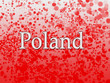 Illustration: Poland Poland