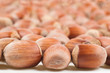 hazelnut