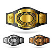 Vector: Champion belt Champion belt