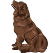vector color sketch dog Newfoundland hound breed sitting
