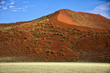 a big orange dune at Sossusvlei Namib Naukluft Park