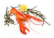 Lobster