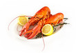 Lobster