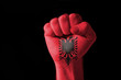 Fist painted in colors of albania flag