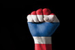 Fist painted in colors of thailand flag Fist painted in colors of thailand flag