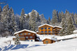 Winter in alps