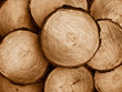 sawed pine wood