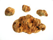 white truffles