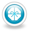 Light Blue Icon "Present / Gift"