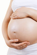 Pregnant woman belly