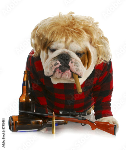 Photo: red-neck dog red-neck dog