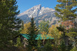 Grand Teton, idyllic house in the woods