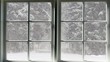 Winter wonderland