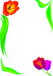 Tulip frame, vector Tulip frame, vector
