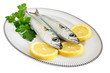 due sgombri con limone - two mackerel with lemon due sgombri con limone - two mackerel with lemon