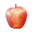 Apfel Elstar