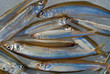 Fresh fishes 22